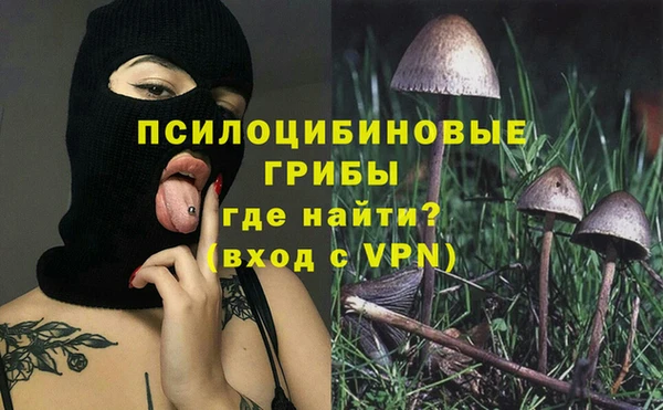 сатива Каменск-Шахтинский