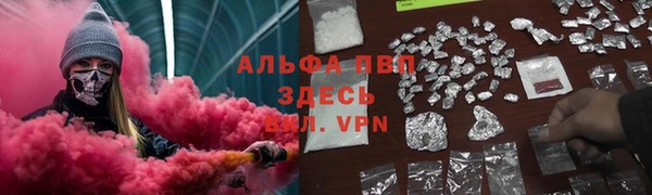 сатива Каменск-Шахтинский