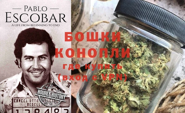гашик Касимов