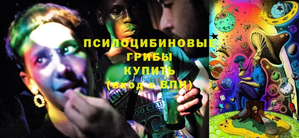 прущая мука Карпинск