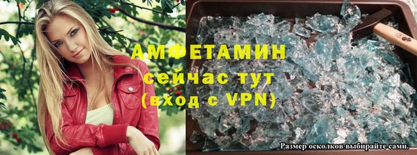 сатива Каменск-Шахтинский