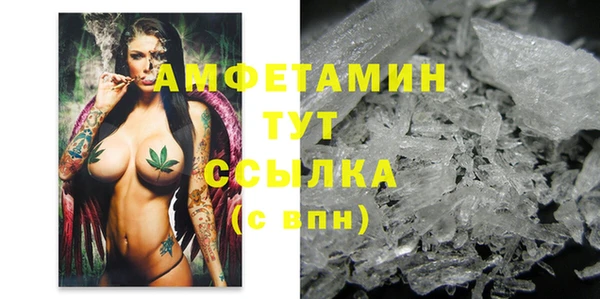 гашик Касимов