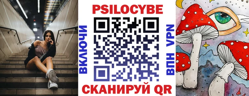 Псилоцибиновые грибы мицелий  Купить закладки  Железноводск 